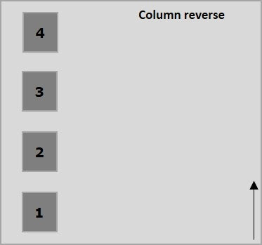 آموزش استفاده از خاصیت Column-reverse در FlexBox